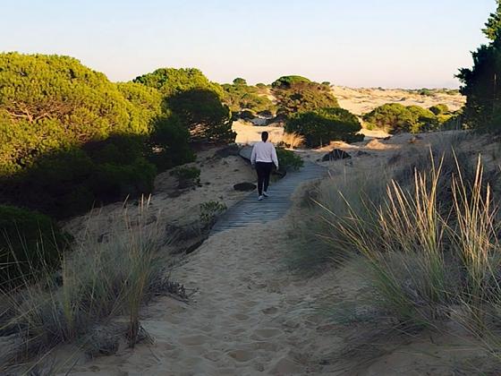 Paseo por la playa