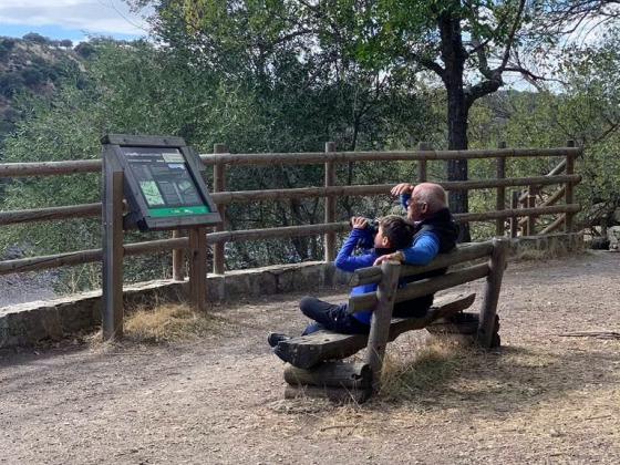 Observación de aves