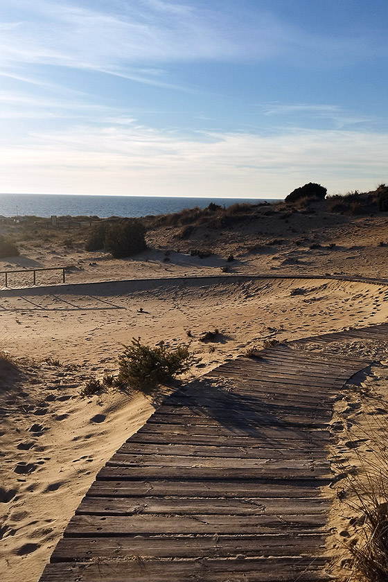 Playa de Matalascañas
